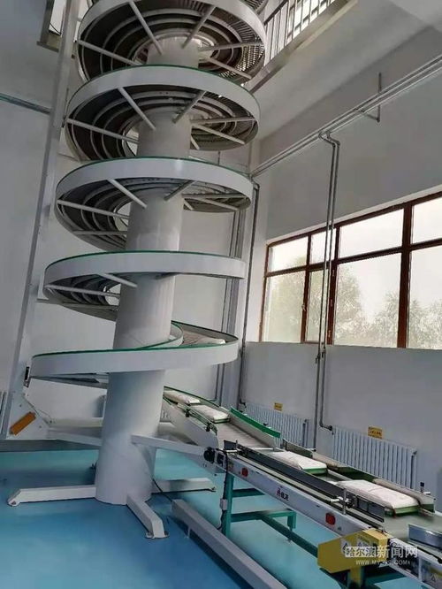 全省首個高度智能化稻米加工車間投用 1.3萬平方米工廠僅用15人，智能電網技術助力