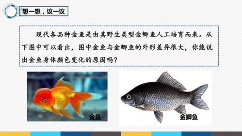 7.2.5 生物的變異